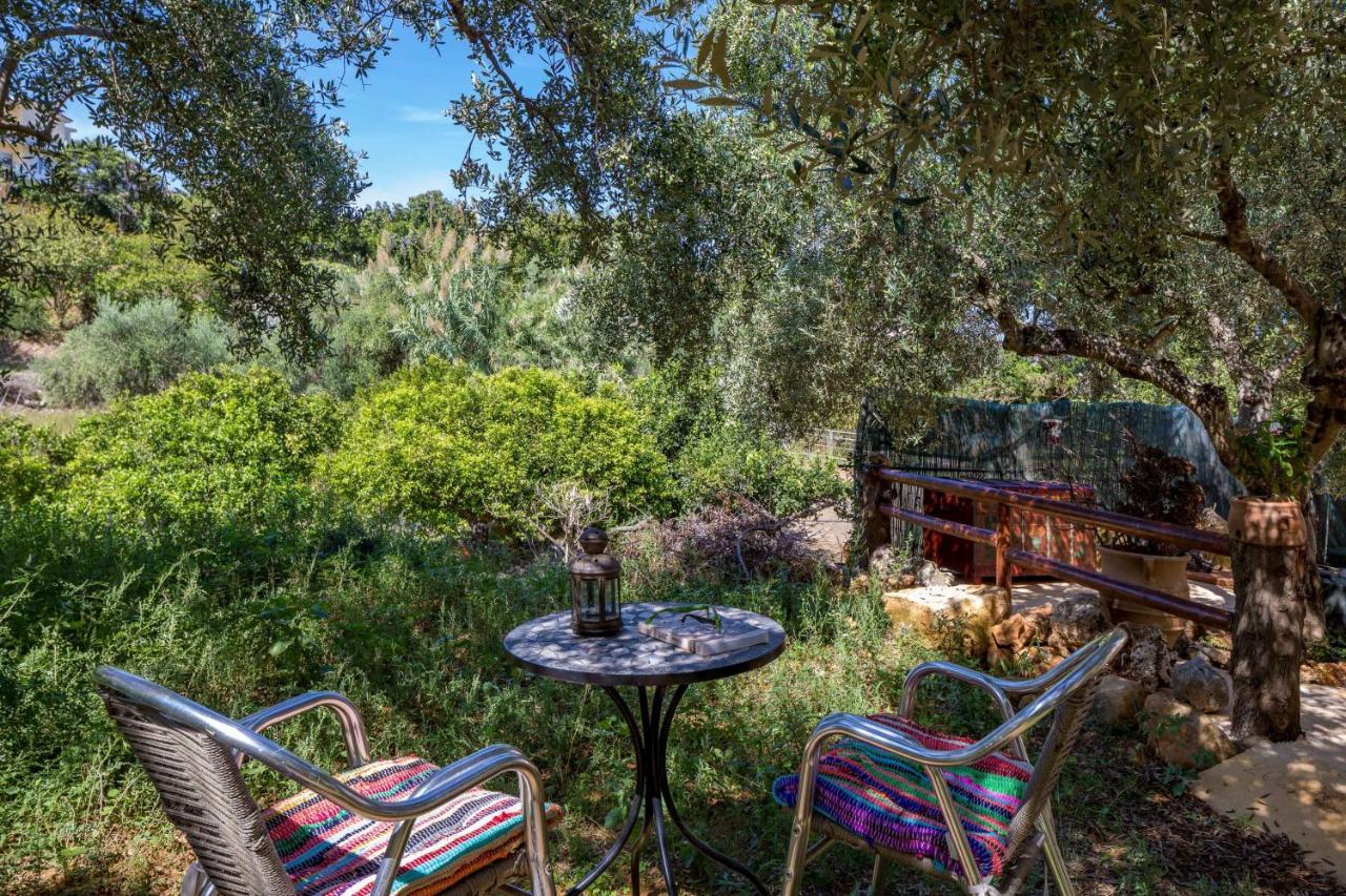 فيلا The Olive House Kondomarion المظهر الخارجي الصورة
